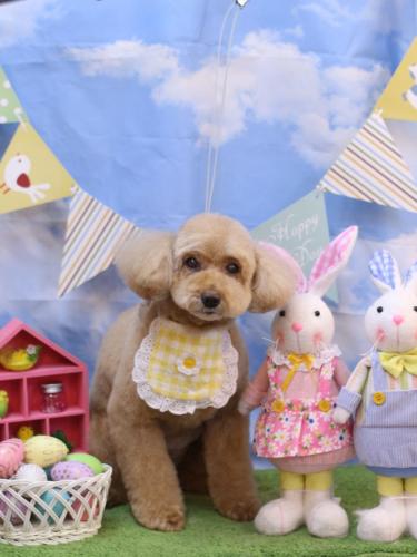 20240328モンチちゃん